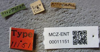 Media type: image;   Entomology 11151 Aspect: labels